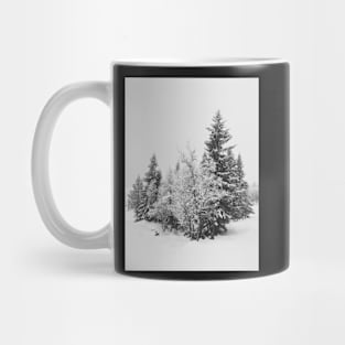 Snow-Covered Fir Trees in Frozen Winter Landscape in Black and White Mug